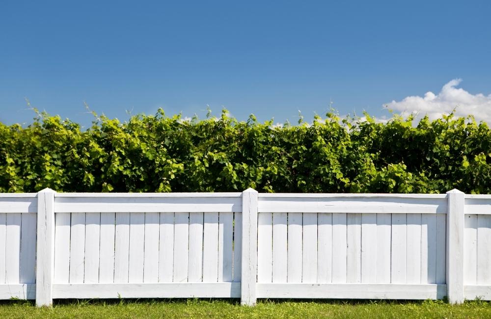 Modern Fence Paint Colors