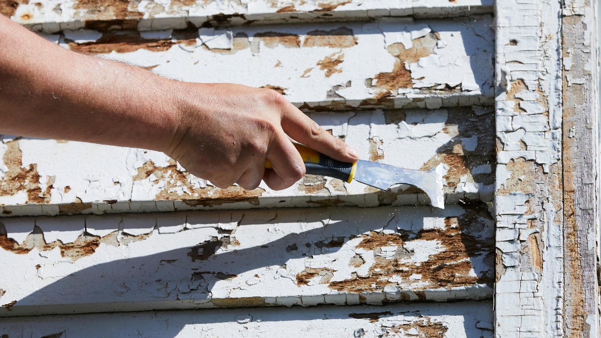 using a scraper tool to remove old, peeling white paint