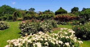 6 Best Places to Visit in West Hartford, Connecticut