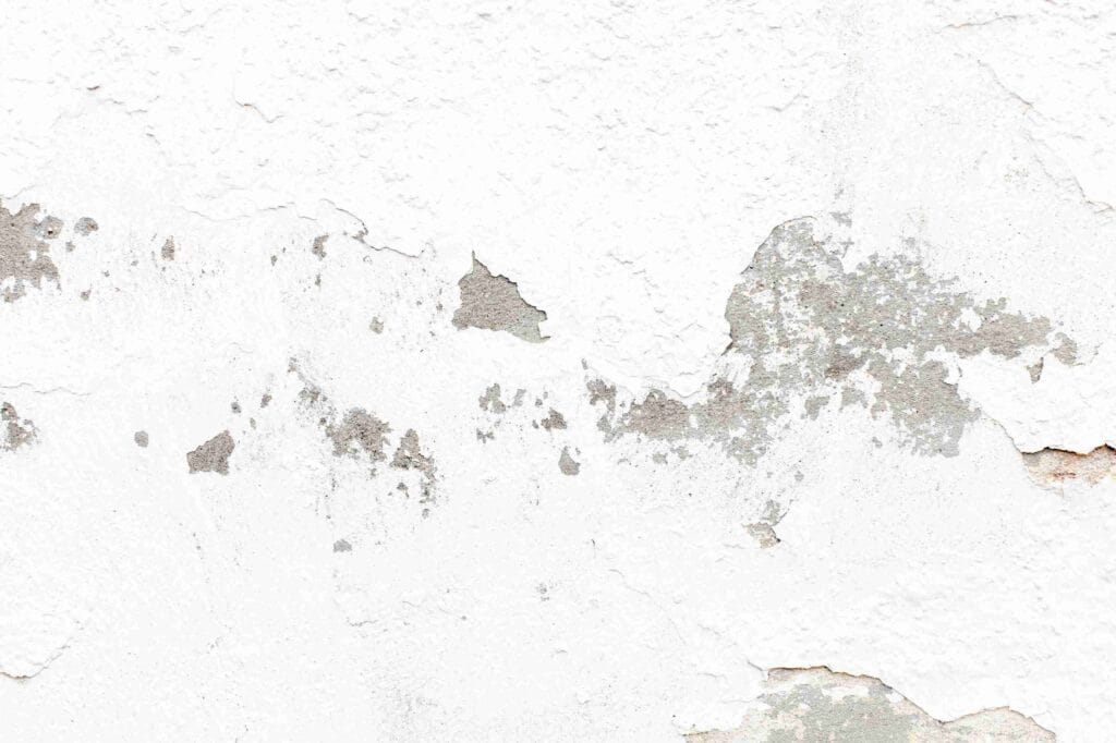 Primer Paint